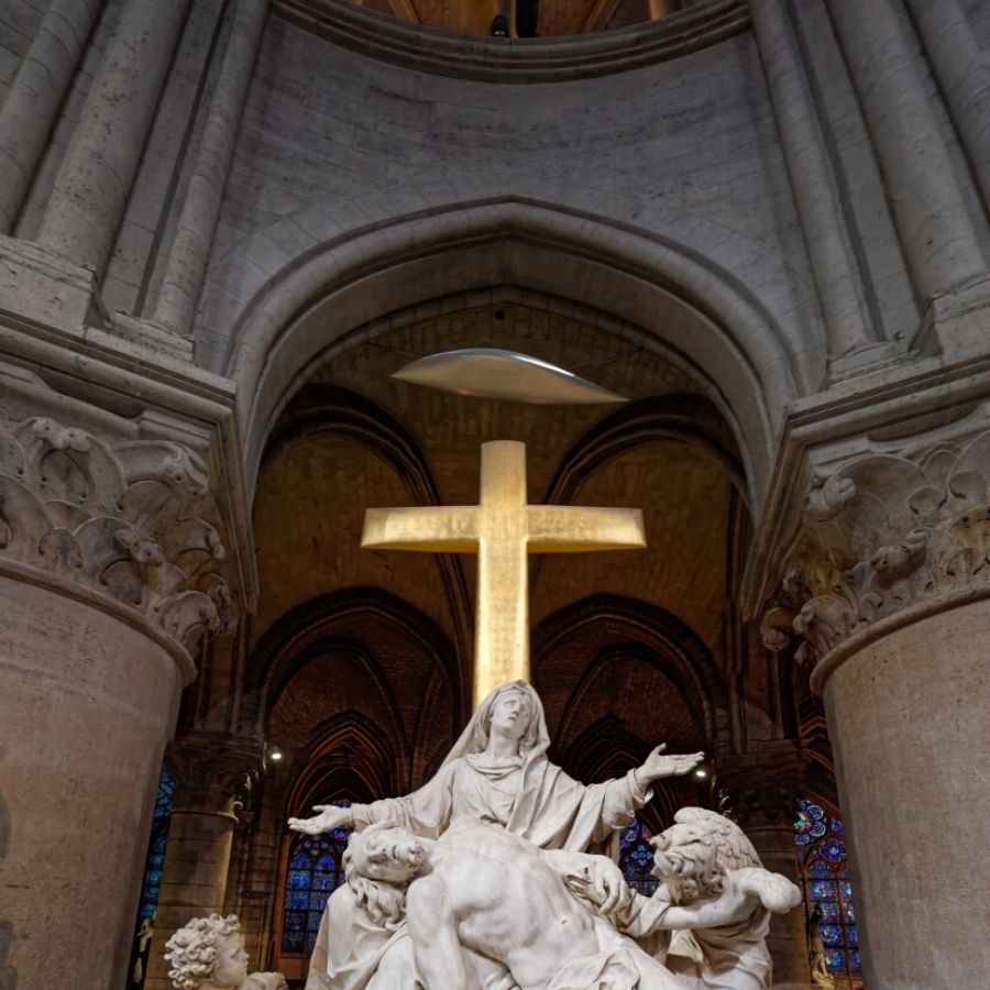 Accès à Notre-Dame & Visite Guidée de l’Île de la Cité