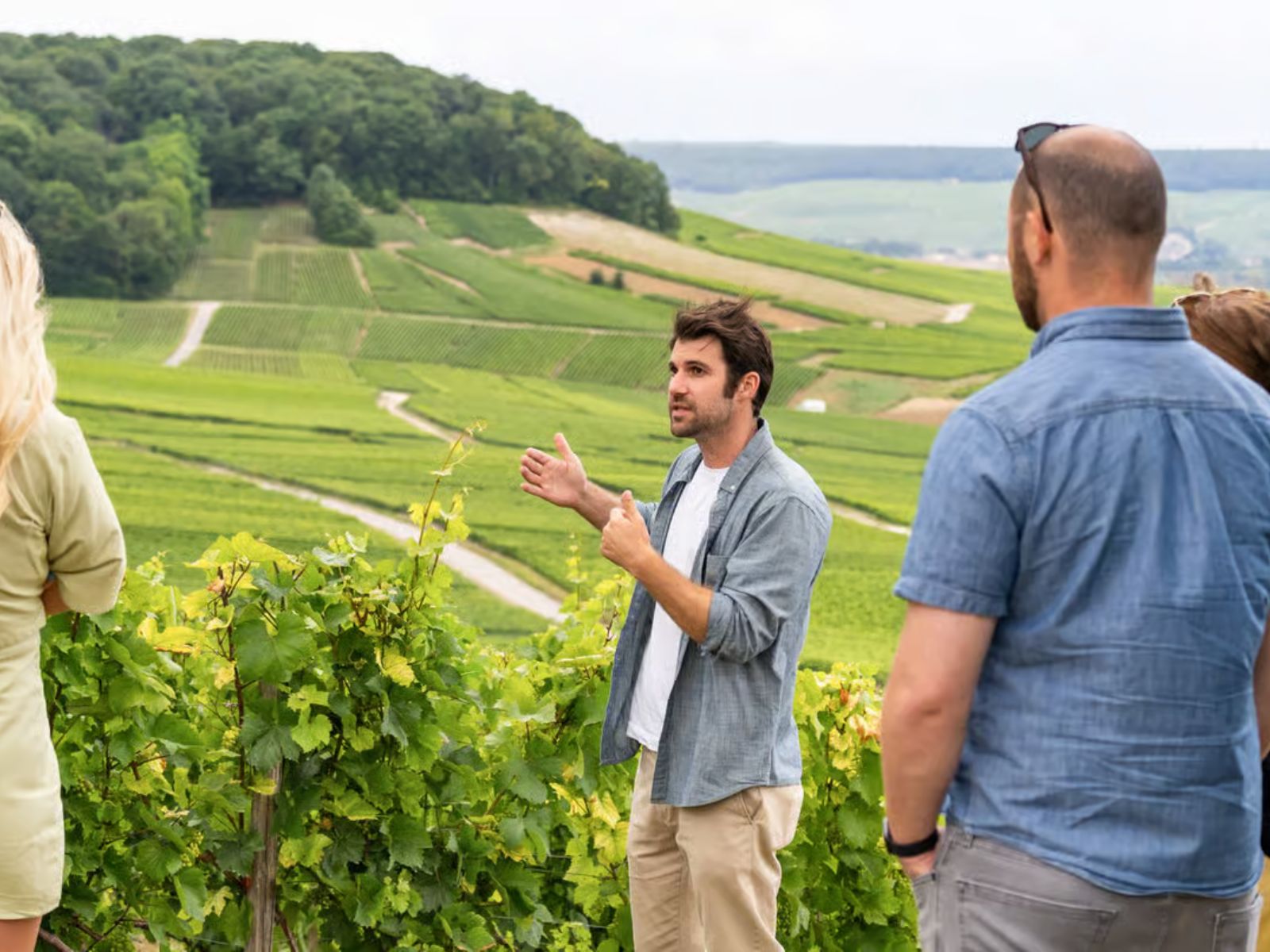 Day Trip to Champagne with 8 Tastings & Lunch - PARIS ACCESS