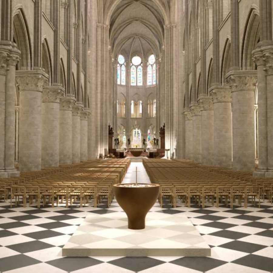 Notre-Dame  Direct Access and Introduction Tour