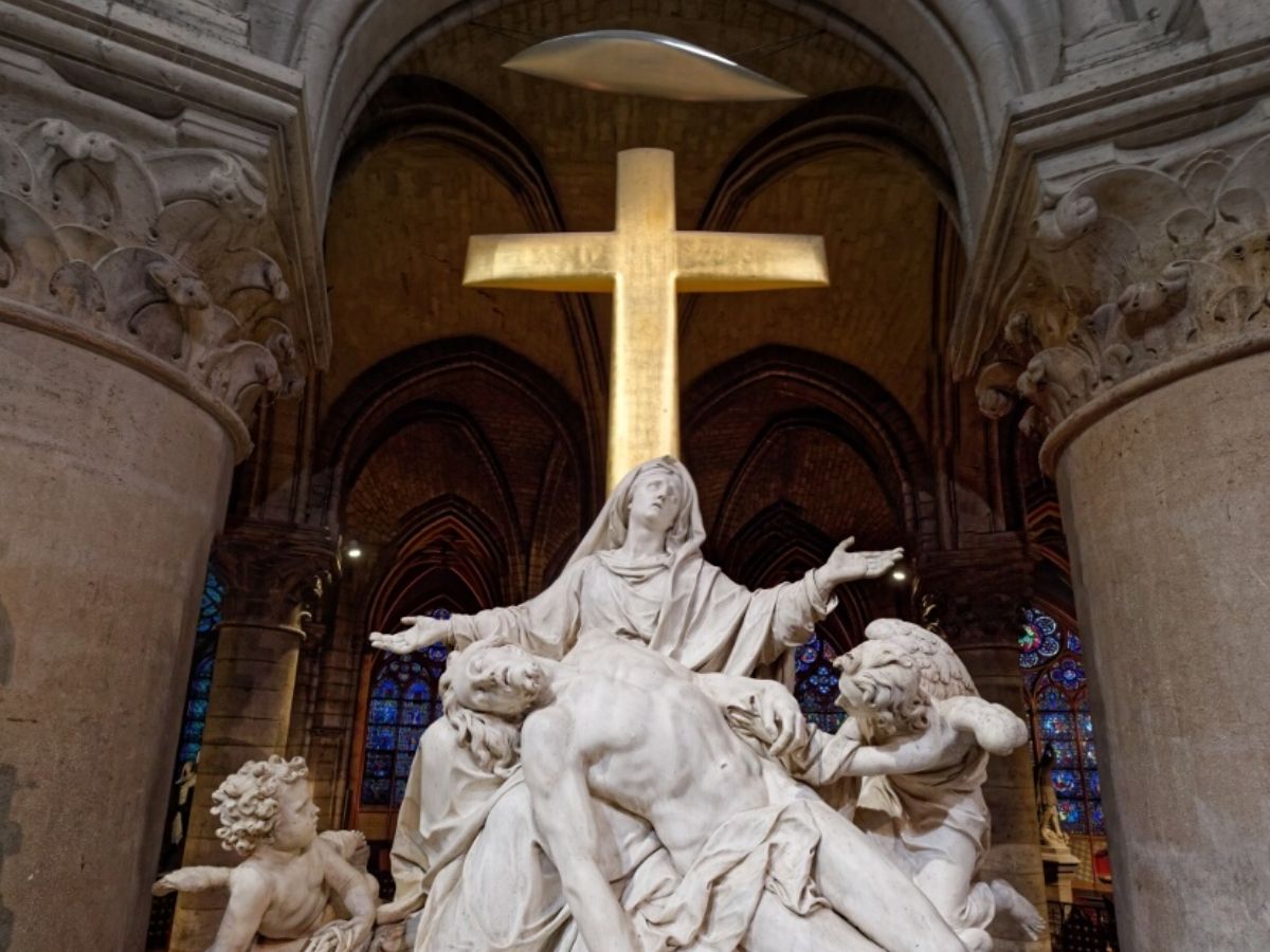 Accès Direct Gratuit à Notre-Dame & Visite Guidée de l’Île de la Cité