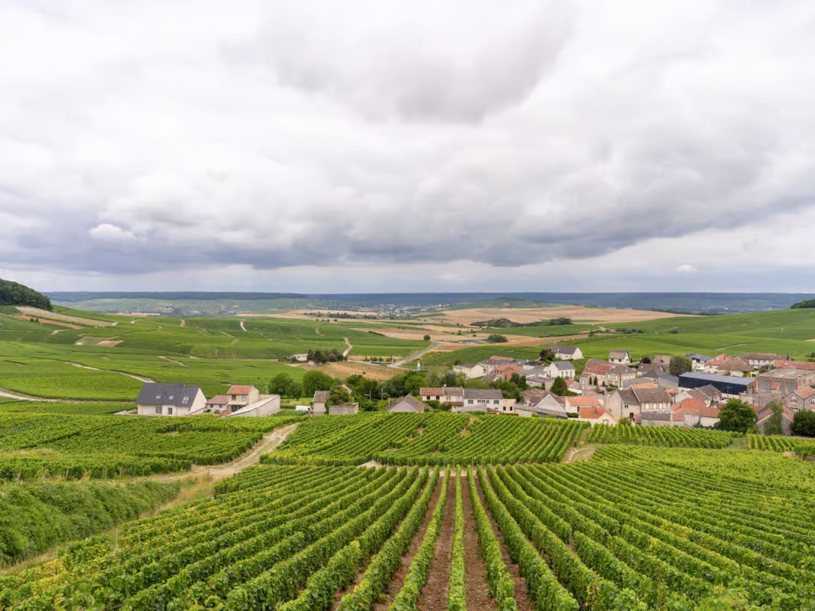 Day Trip to Champagne with 8 Tastings & Lunch - PARIS ACCESS