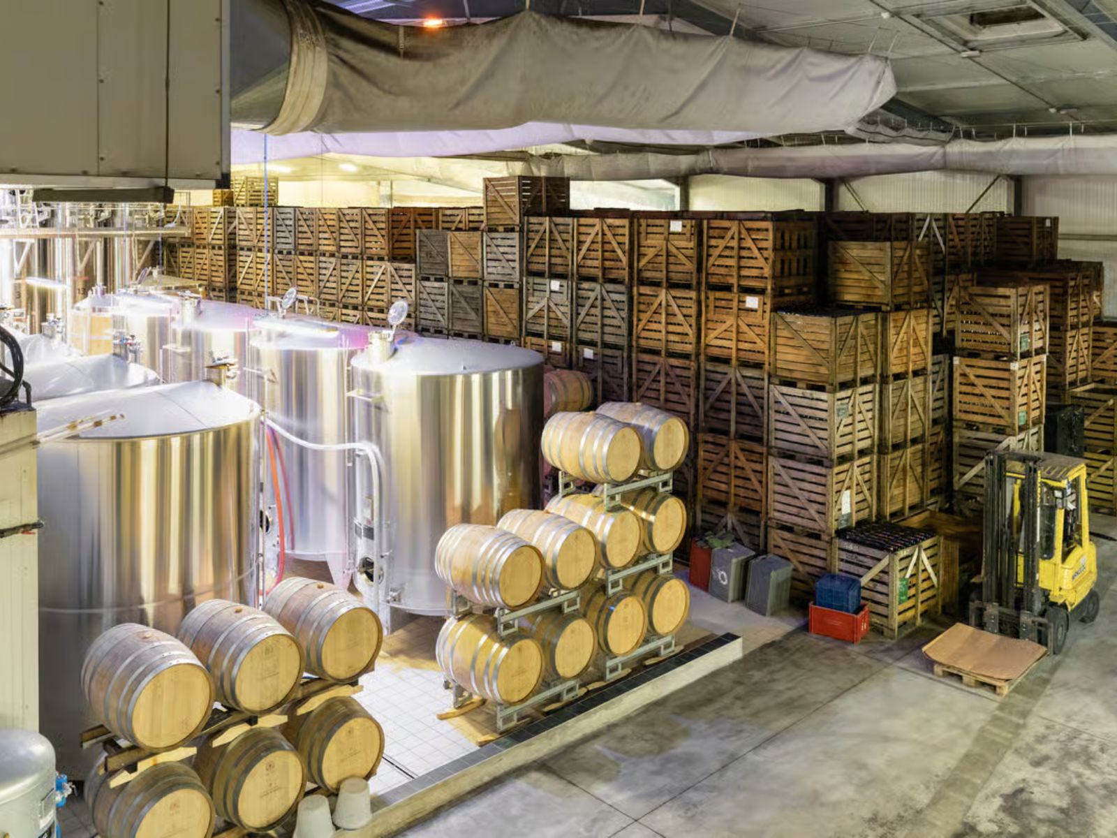 Day Trip to Champagne with 8 Tastings & Lunch - PARIS ACCESS