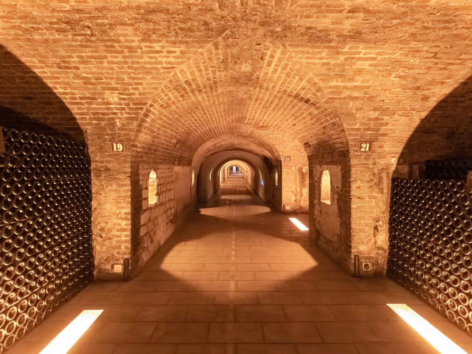 Day Trip to Champagne with 8 Tastings & Lunch - PARIS ACCESS