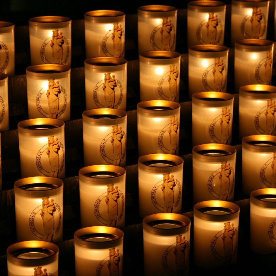 Notre - Dame Guided Tour with Skip the Line Access - PARIS ACCESS